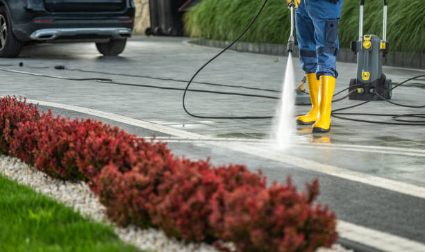 Best Animal Enclosure Cleaning  in Summerfield, NC